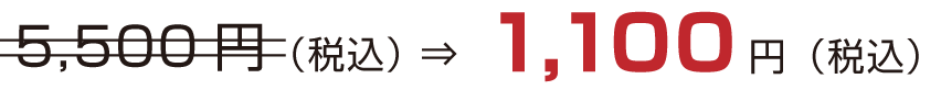 5,500円(税抜) ⇒1,100円(税抜)